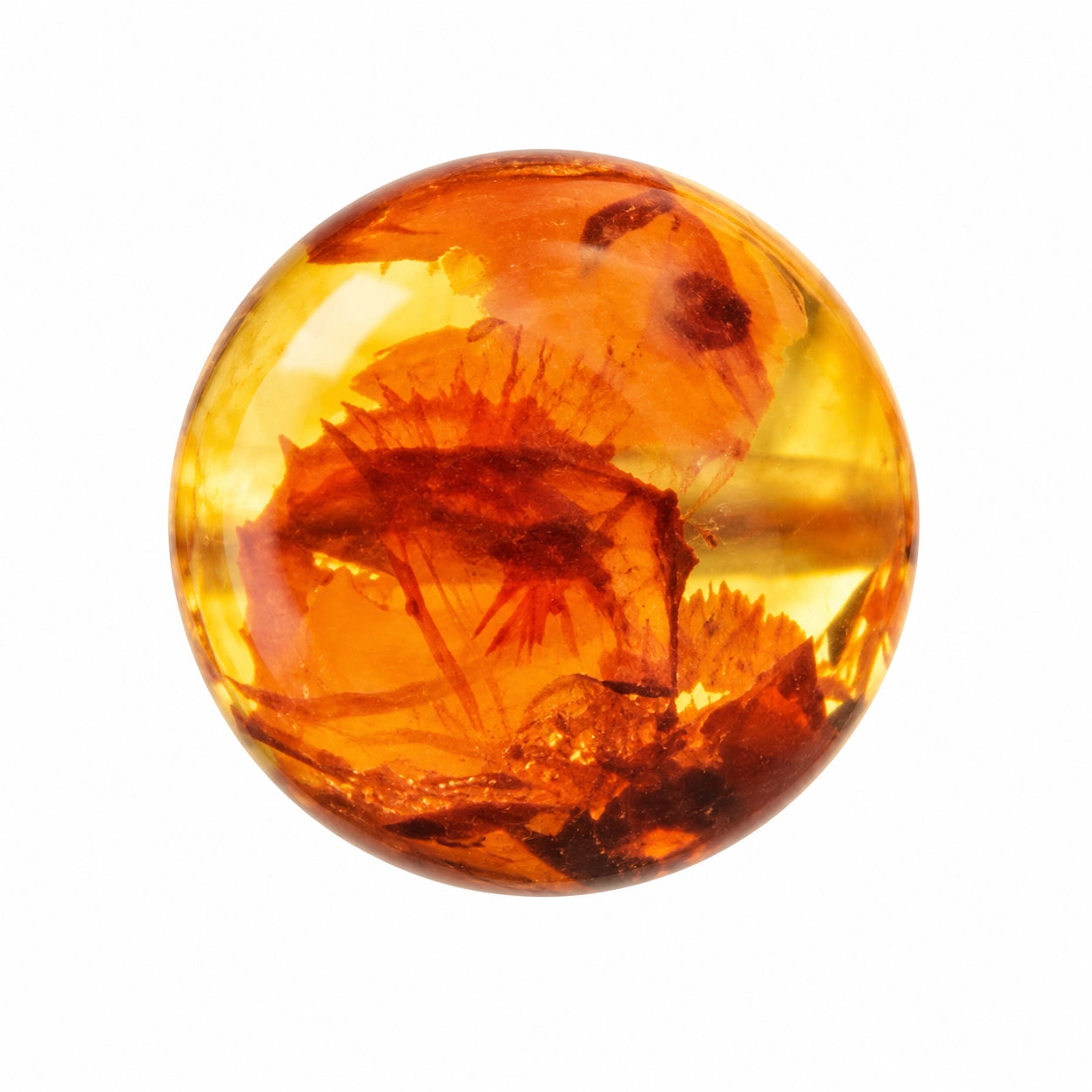 Amber · honey